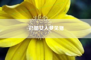 已婚女人梦见猪