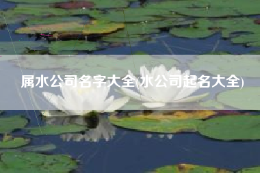 属水公司名字大全(水公司起名大全)