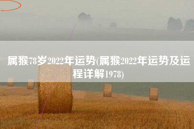 属猴78岁2022年运势(属猴2022年运势及运程详解1978)