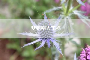 梦到别人车祸
