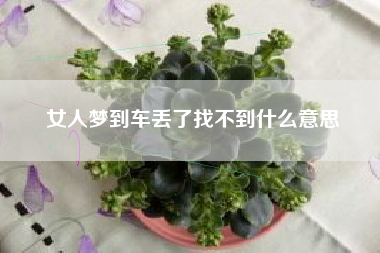 女人梦到车丢了找不到什么意思