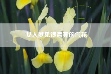 女人梦见很漂亮的假花