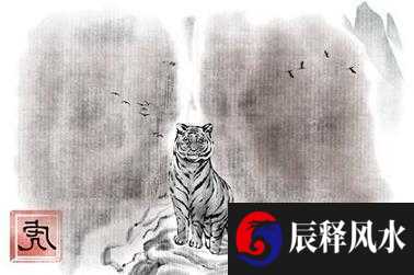 农村看坟地绝招