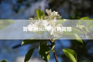 算命测2022年运势离婚