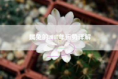 属兔的2017年运势详解