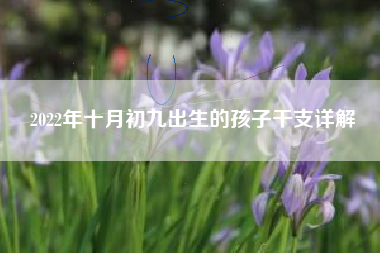 2022年十月初九出生的孩子干支详解