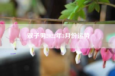 双子男2022年3月份运势