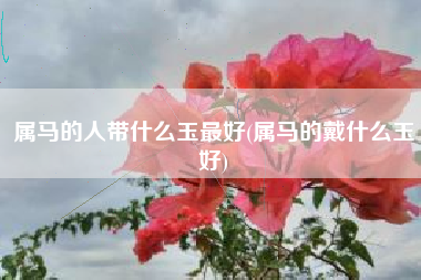 属马的人带什么玉最好(属马的戴什么玉好)