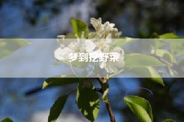 梦到挖野菜