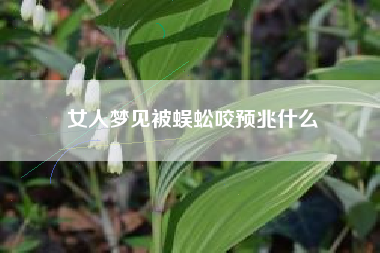 女人梦见被蜈蚣咬预兆什么