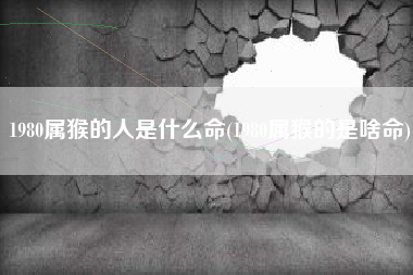 1980属猴的人是什么命(1980属猴的是啥命)
