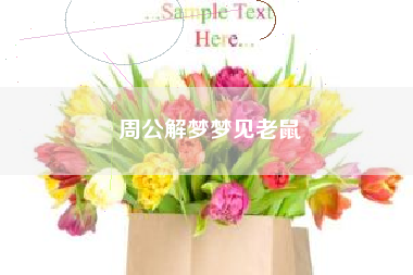 周公解梦梦见老鼠