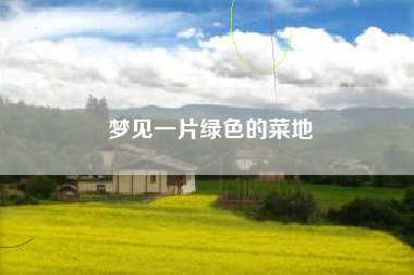 梦见一片绿色的菜地