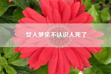 女人梦见不认识人死了