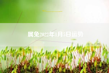 属兔2022年1月5日运势