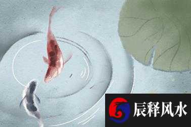 风水