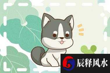2022年虎宝宝哪个月份出生最好