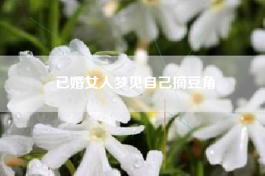 已婚女人梦见自己摘豆角