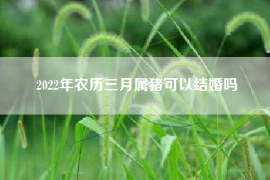 2022年农历三月属猪可以结婚吗