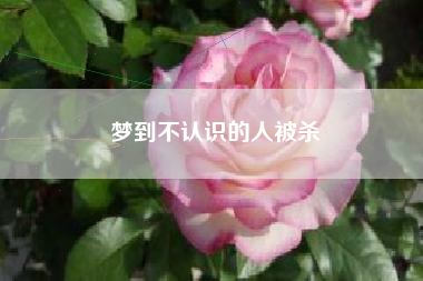 梦到不认识的人被杀