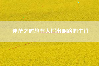 迷茫之时总有人指出明路的生肖