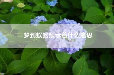 梦到蜈蚣预示着什么意思