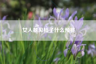 女人梦见柿子什么预兆