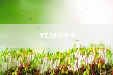 孕妇梦见水牛