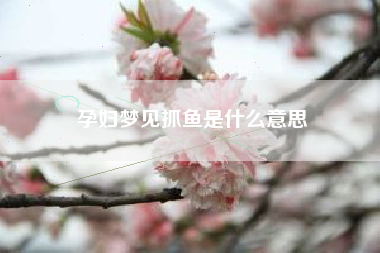 孕妇梦见抓鱼是什么意思