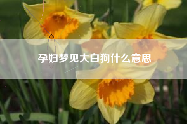 孕妇梦见大白狗什么意思
