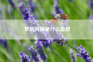 梦到狗屎是什么意思