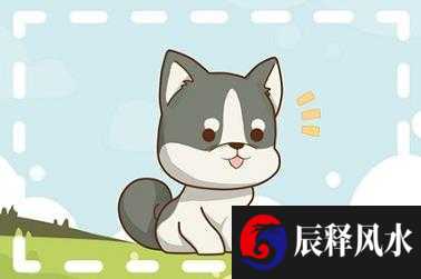 为什么甲木女很少 需八字平衡感情幸福