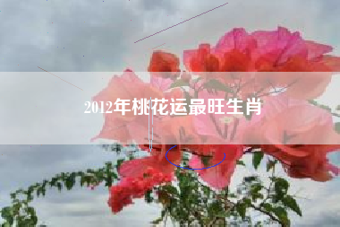 2012年桃花运最旺生肖
