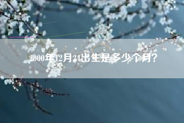 2000年12月24出生是多少个月？