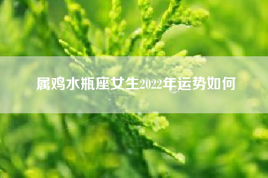 属鸡水瓶座女生2022年运势如何