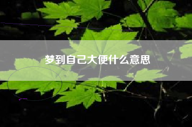 梦到自己大便什么意思