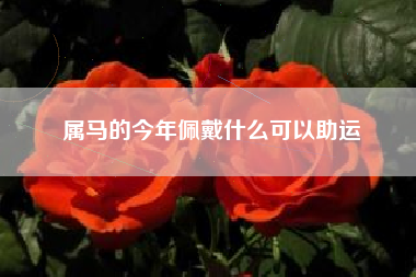 属马的今年佩戴什么可以助运