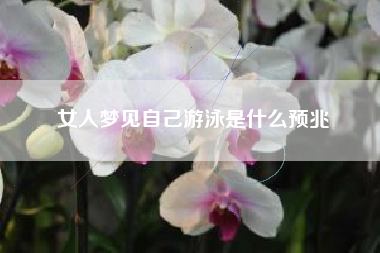 女人梦见自己游泳是什么预兆