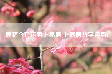 属猪今日运势卜易居(卜易居八字运势)