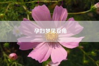 孕妇梦见豆角