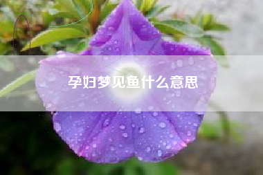 孕妇梦见鱼什么意思