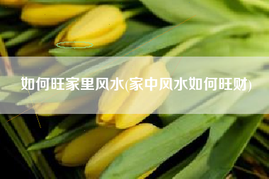 如何旺家里风水(家中风水如何旺财)