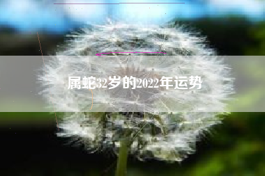 属蛇32岁的2022年运势