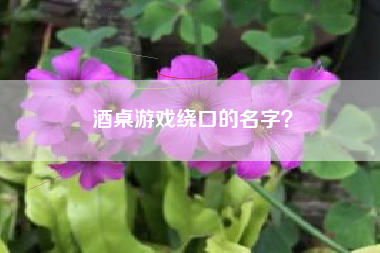 酒桌游戏绕口的名字？