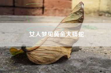 女人梦见黄金大蟒蛇
