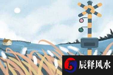 摆在厕所
