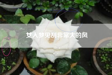 女人梦见刮非常大的风