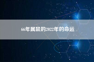 66年属鼠的2022年的命运