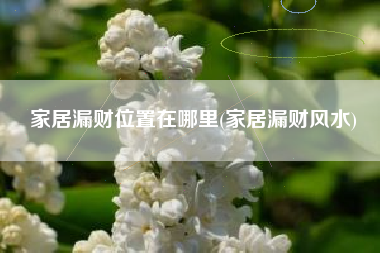 家居漏财位置在哪里(家居漏财风水)