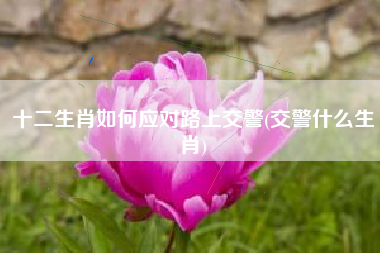 十二生肖如何应对路上交警(交警什么生肖)